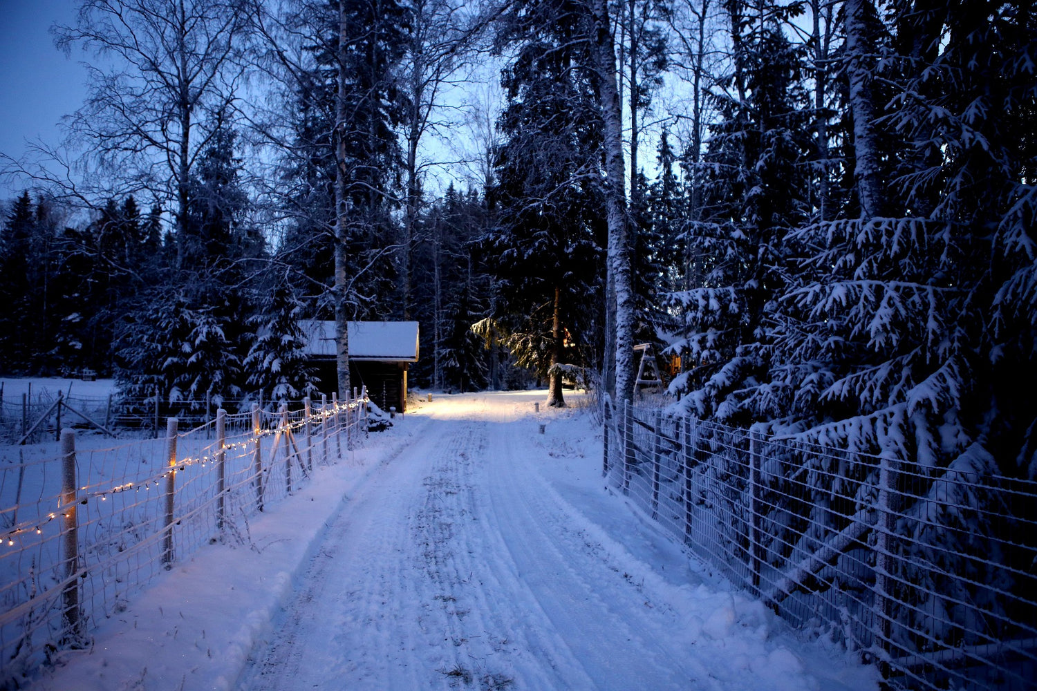 Holiday Travel Disruptions: How Weather Could Impact Your Christmas Plans